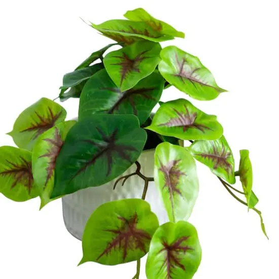 8" Mixed Greenery in Ceramic Planters Set {9}