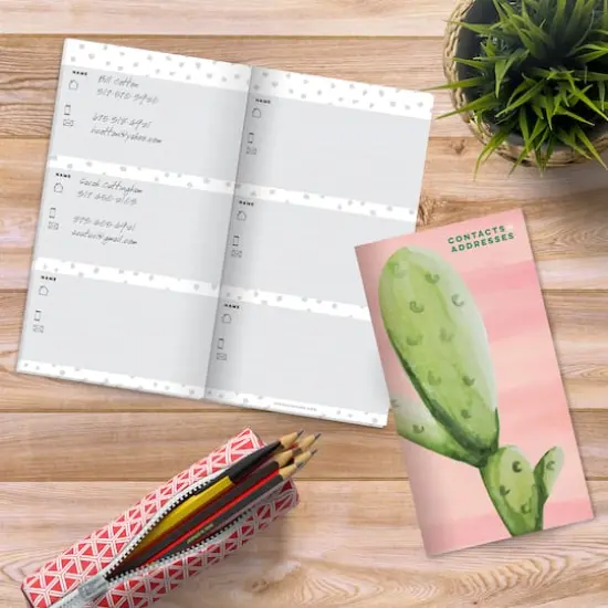 TF Publishing Cactus Address Book {4}