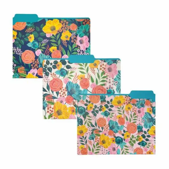 Steel Mill & Co.&reg; Garden Blooms File Folders {1}