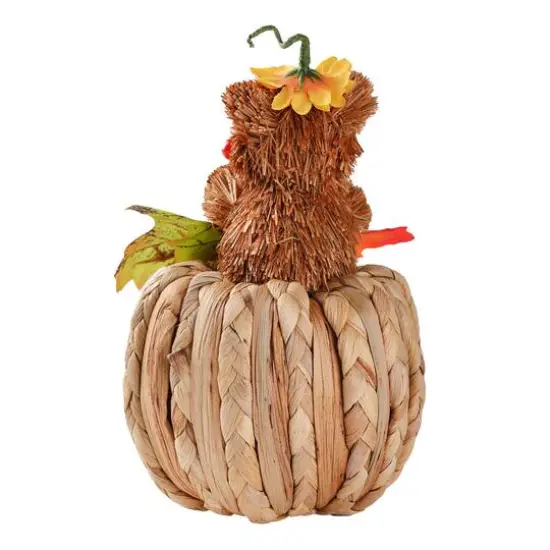 7.5" Raccoon on Pumpkin Natural D&eacute;cor by Ashland&reg; {4}
