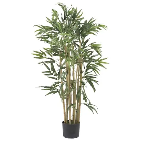 3ft. Potted Bambusa Bamboo Tree {1}