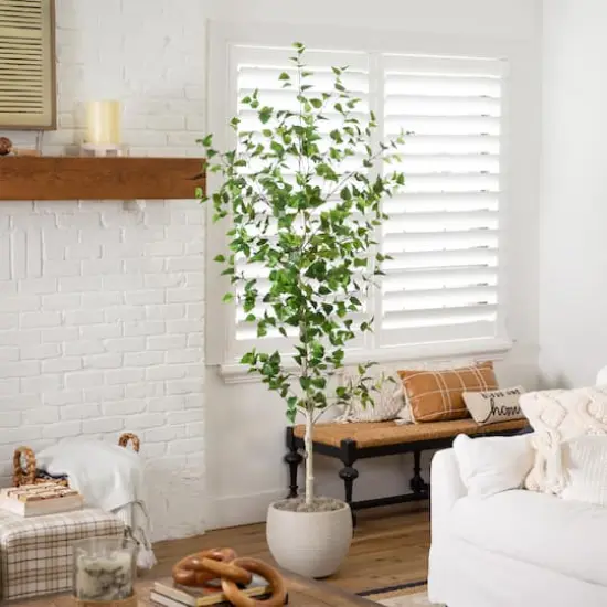 7ft. Birch Tree in Black Planter {3}