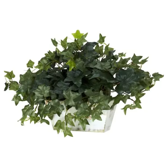14" Ivy in White Planter {3}