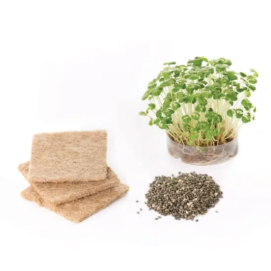 Creativity for Kids&reg; Build & Grow Tree House Kit {9}