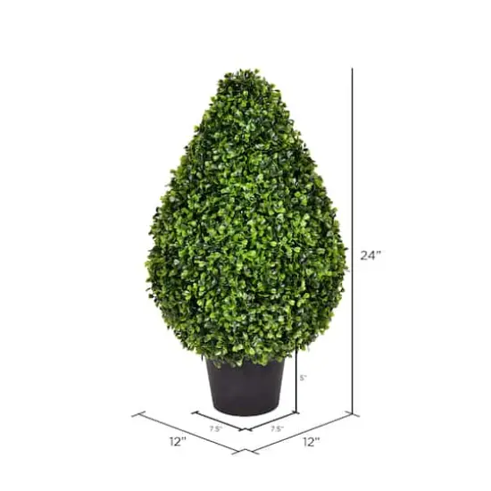 2ft. Potted Boxwood Teardrop Shaped Bush {3}