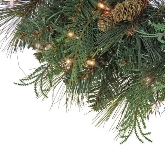 First Traditions&trade; 24'' Pre-Lit Artificial North Conway Wreath with Glittery Cones and Eucalyptus {4}