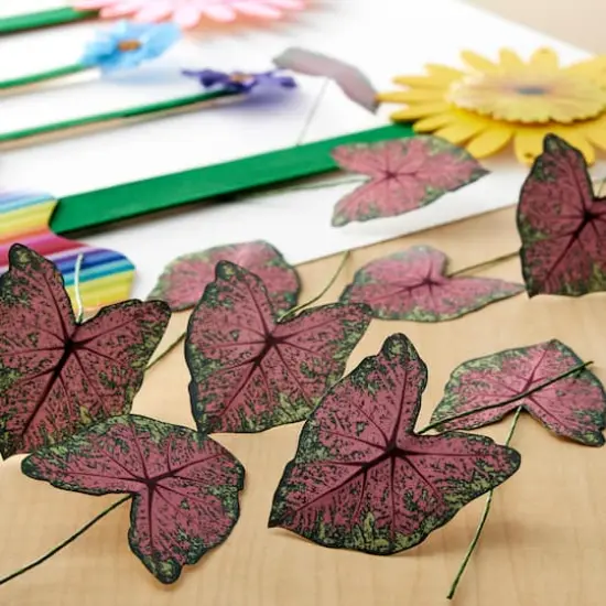 Green & Pink Paper Caladium Leaves by Recollections&trade; {3}