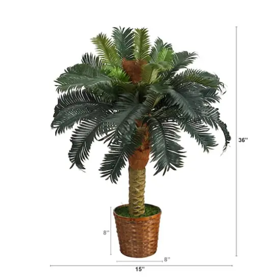 3ft. Sago Palm Tree in Woven Planter {3}