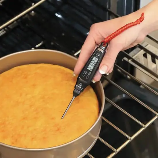 Escali Black Digital Pen Thermometer {5}