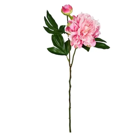 Light Pink Peony Stem, 6ct. {1}