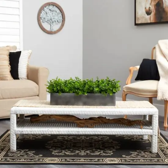 9" Potted Eucalyptus Plant {6}