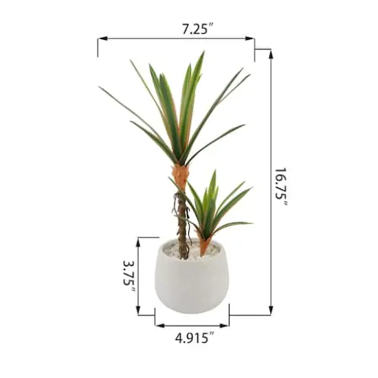 Flora Bunda&reg; 17" Yucca Plant in White Ceramic Planter {4}