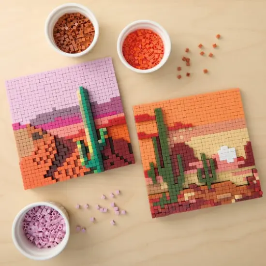 Desert Plants Pixelated Brick Art Kit by Make Market&reg; {1}