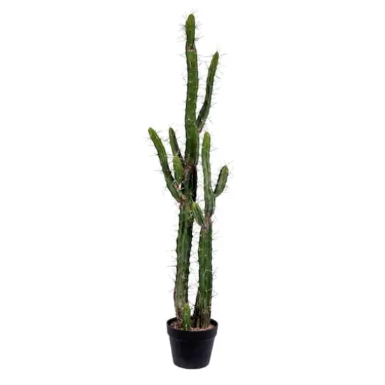 4ft. Potted Green Cactus {1}