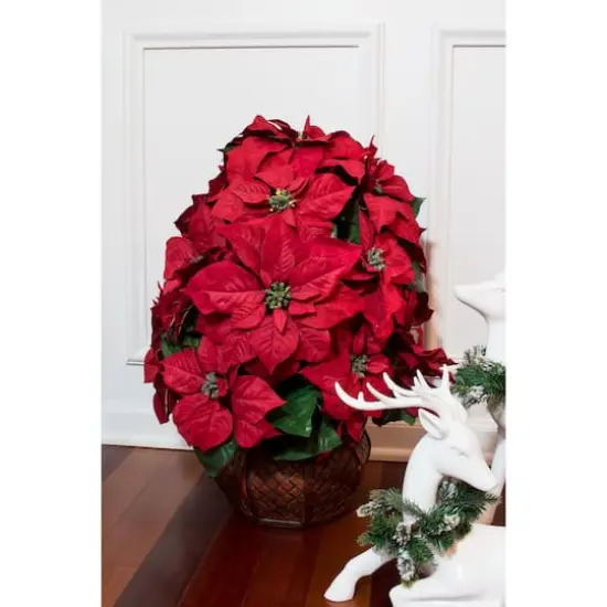 22" Potted Poinsettia with Decorative Planter {5}