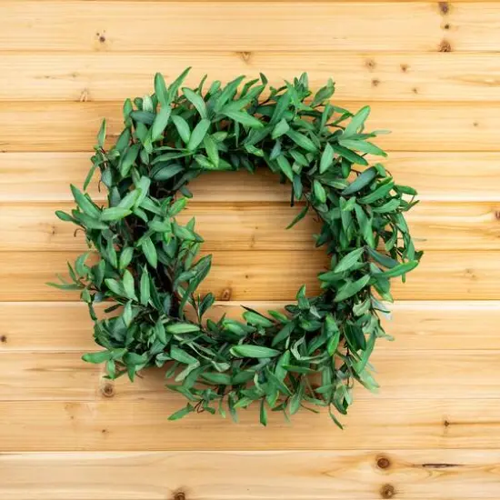 29" Olive Leaf Foliage Wreath {3}