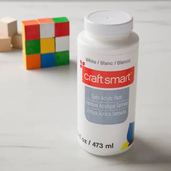 Satin Acrylic Paint By Craft Smart&reg;, 16 Oz. White {3}