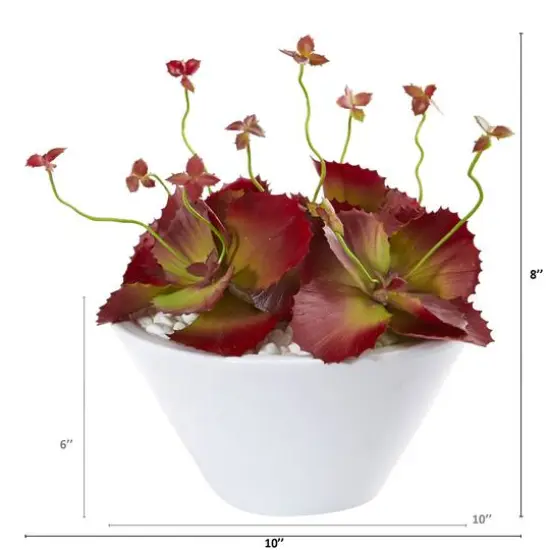 8" Burgundy Succulent Artificial Plant in White Bowl {3}