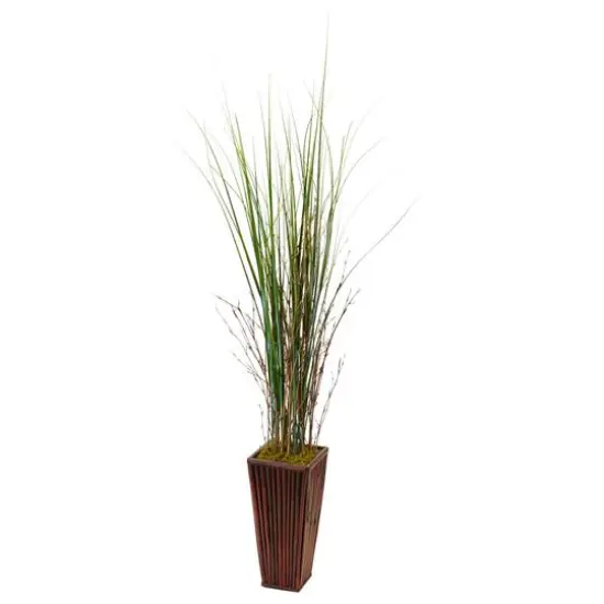 4.5ft. Bamboo Grass in Bamboo Planter {1}