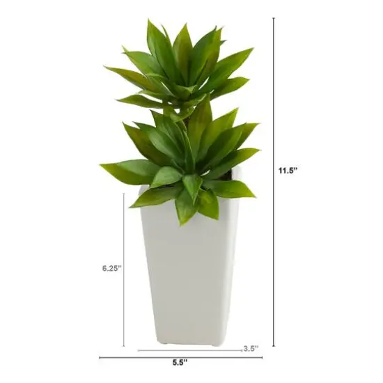 11.5" Double Mini Agave Succulent in White Planter {3}