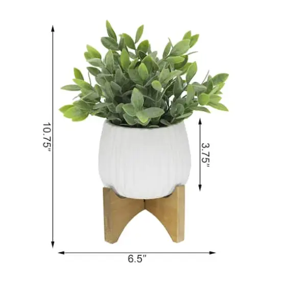 Flora Bunda&reg; 10.7" Tea Leaf in Ridge Pot On Stand {3}