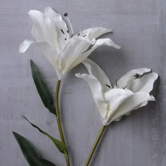 37" White Lily Stem by Ashland&reg; {3}