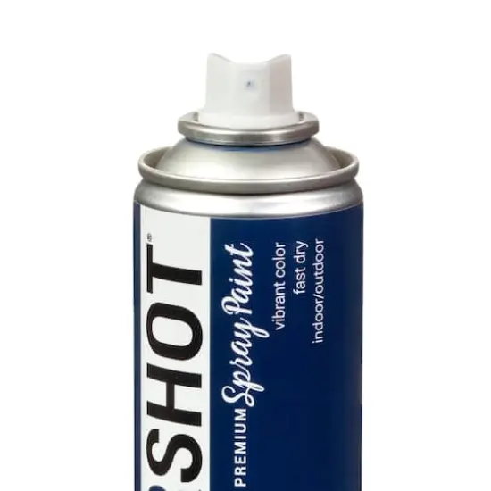 COLORSHOT&reg; Premium Gloss Spray Paint Stamped Passport {5}