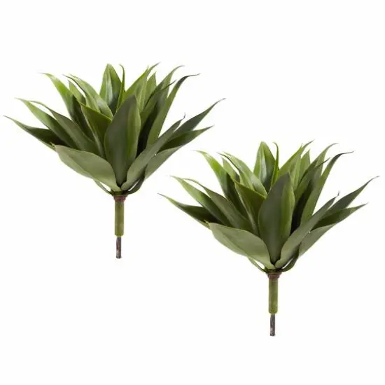 Agave Plant Spikes, 2ct. {1}