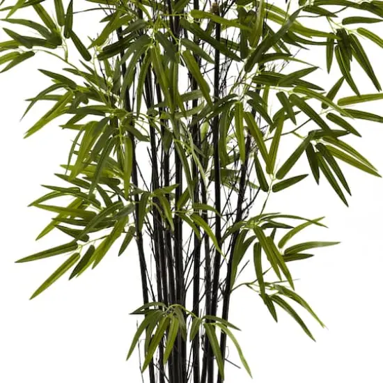 4ft. Potted Black Bamboo Tree {4}