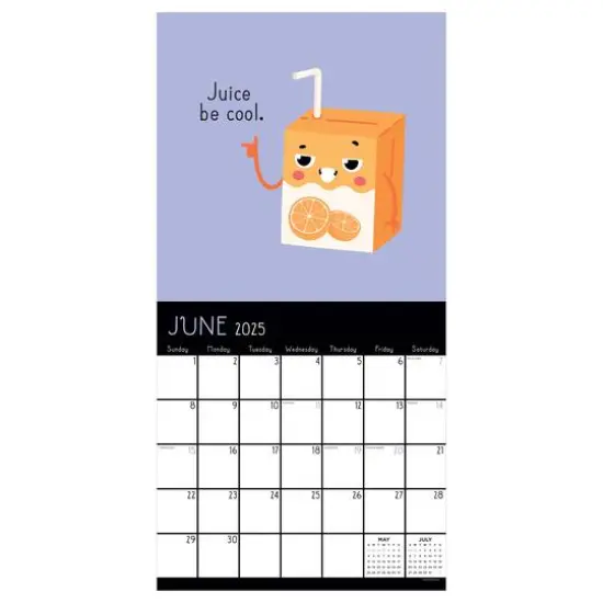 TF Publishing 2025 Puns of Fun Wall Calendar {4}