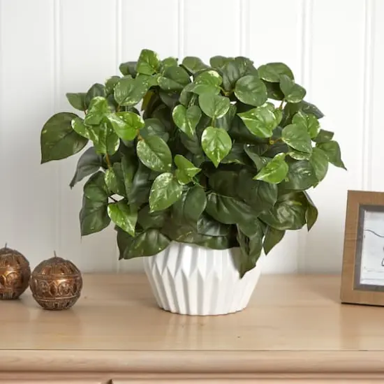 16in. Pothos Plant in White Ceramic Vase {3}
