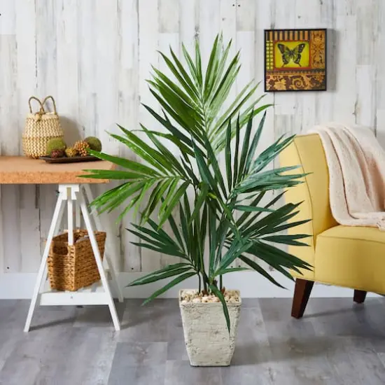 4ft. Kentia Palm Tree in Country White Planter {4}