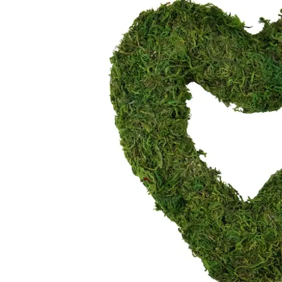 Reindeer Moss Heart Twig Artificial Wreath Green 13.5" {4}