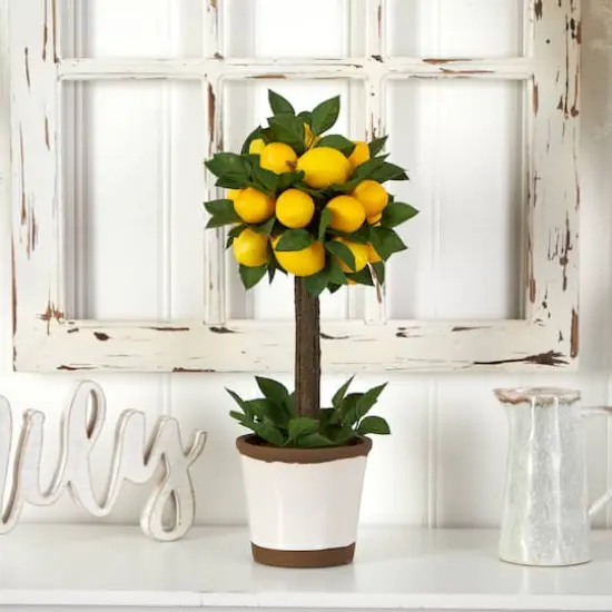 18" Potted Lemon Ball Topiary Arrangement  {5}
