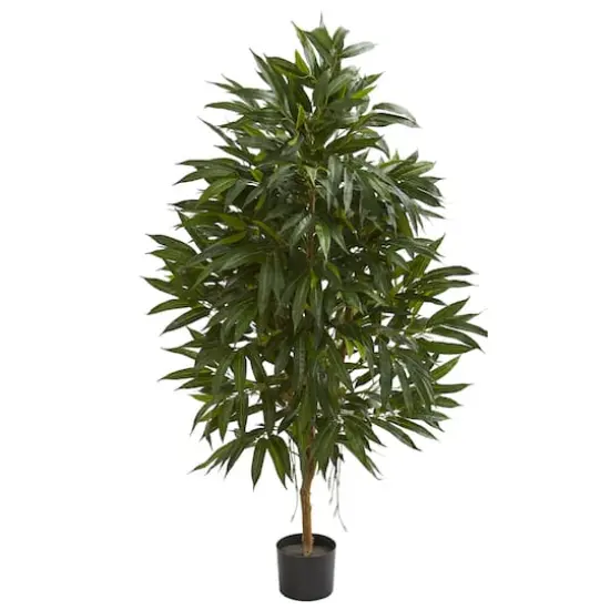 5ft. Potted Royal Ficus Tree {1}