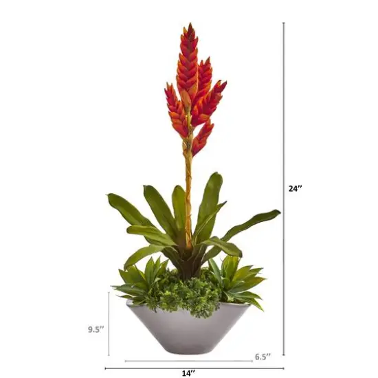 2ft. Tropical Bromeliad & Agave Plant in Gray Planter {3}
