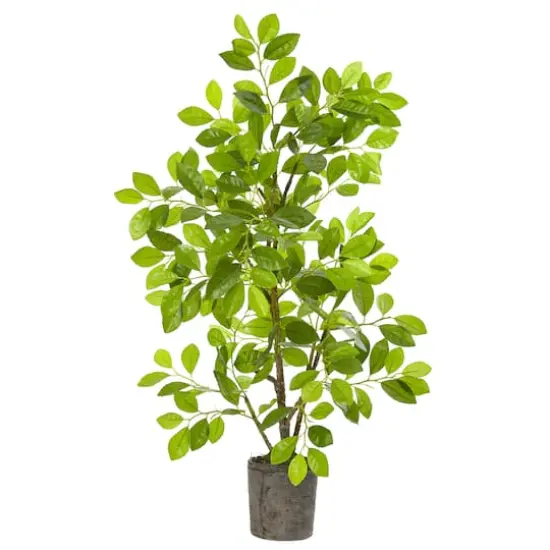 3ft. Ficus Tree in Faux Concrete Planter {1}