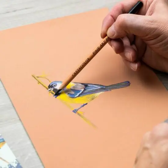 Cretacolor Bird 7 Piece Fine Art Pastel Pencil Set {6}