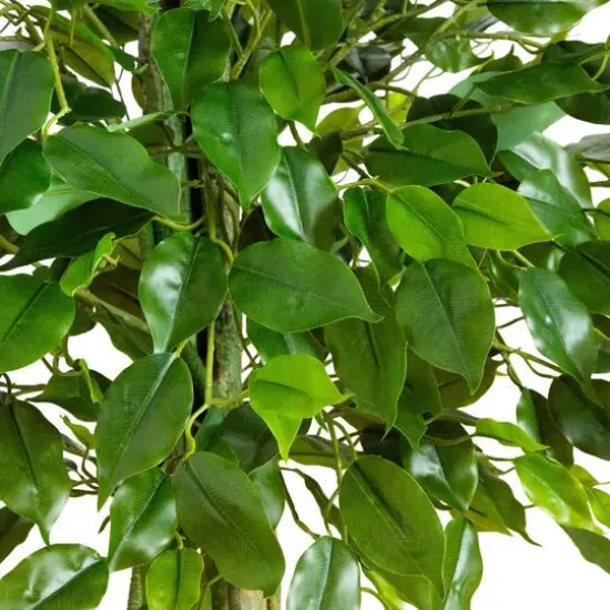 3.5ft. UV Resistant Artificial Ficus Tree (Indoor/Outdoor) {4}