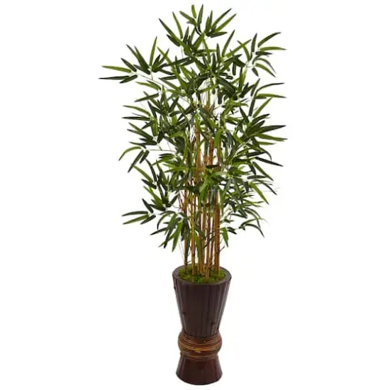 4.5ft. Bamboo Tree in Bamboo Planter {1}