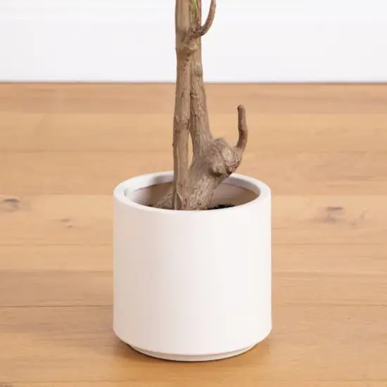 Artificial Minimalist Olive Tree in White Decorative Planter {10}