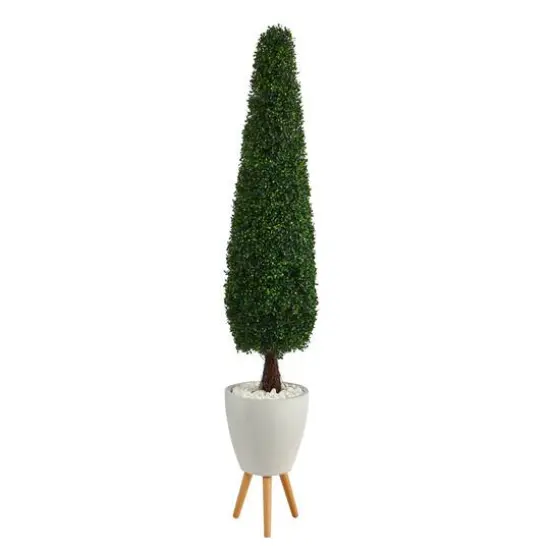 6ft. Boxwood Topiary in White Planter with Stand {1}