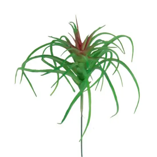 Flora Bunda&reg; Air Plant Succulent Pick, 6ct. {3}