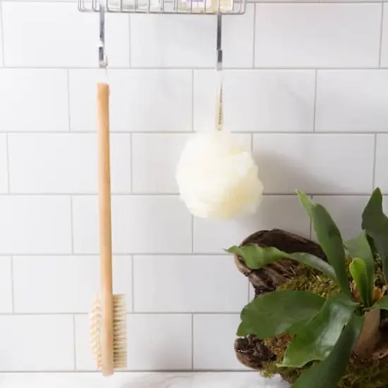 European Soaps Cellulite Brush {3}