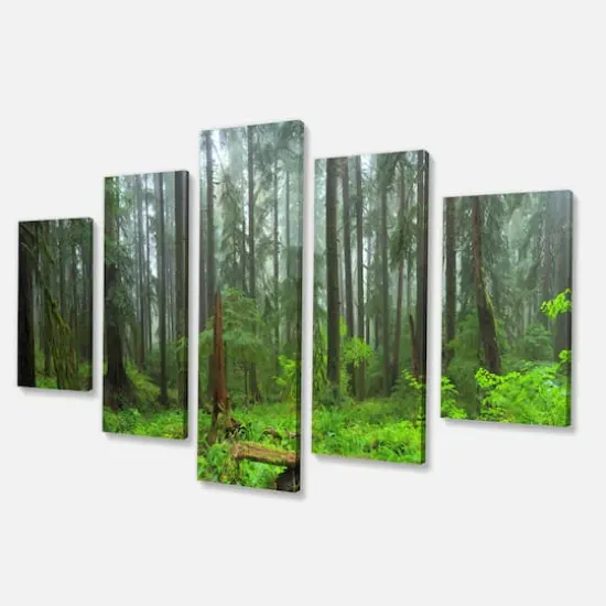 Designart - Hoh Rain Forest - Large Landscape Photography Canvas Art Print {4}
