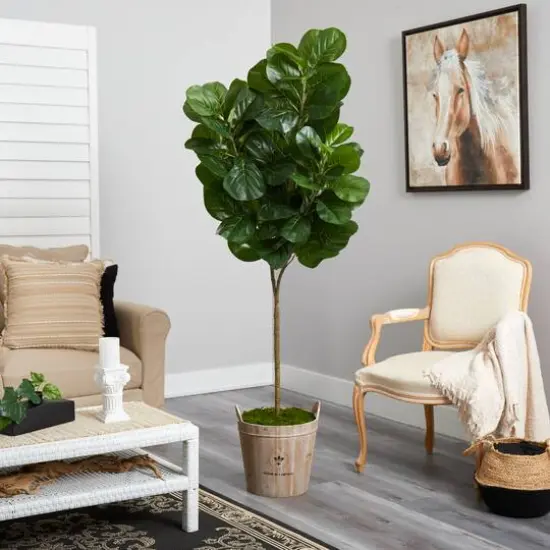 6ft. Fiddle Leaf Fig Tree in Farmhouse Planter {5}