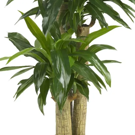 5ft. Corn Stalk Dracaena Silk Plant  {4}