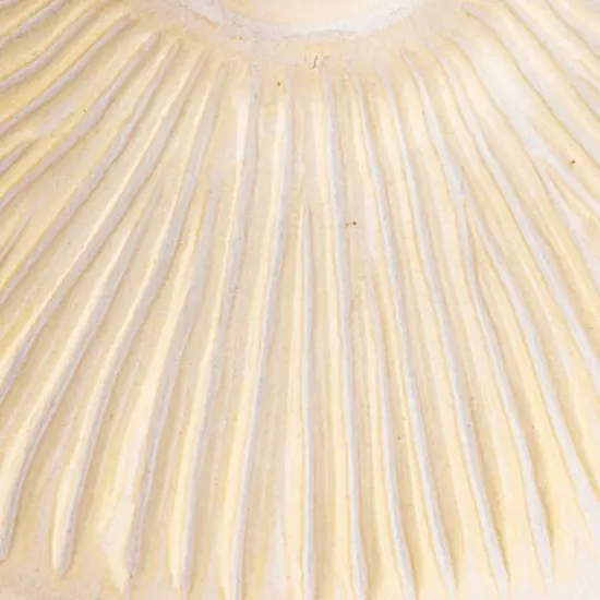 Hello Honey&reg; 7" Long Cream Stoneware Vase {9}