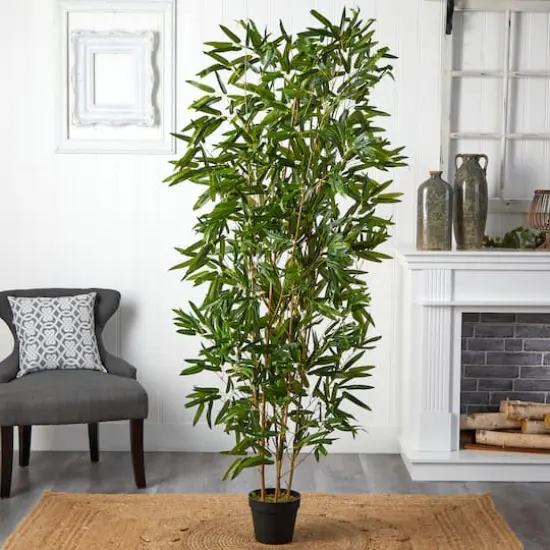 6ft. Potted Bamboo Tree {3}