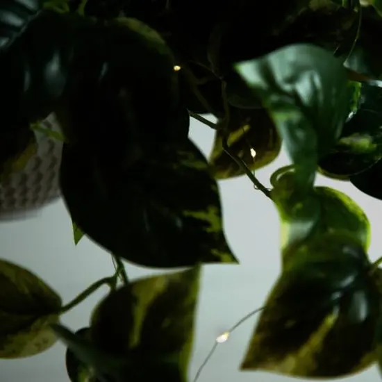 24" UV Resistant Artificial LED Pothos in White Hanging Basket {8}